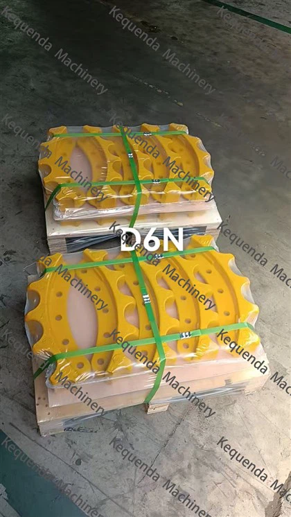 D6N 세그먼트